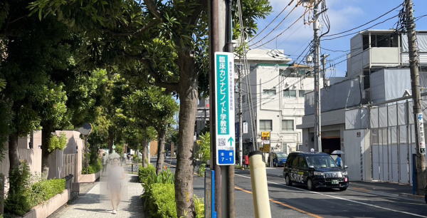 週刊報道サイト、東京大学医学部皮膚科臨床カンナビノイド学研究
