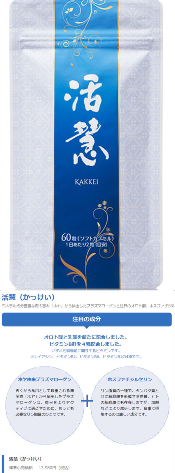 Kakkei かっけい 活慧 新品 - その他